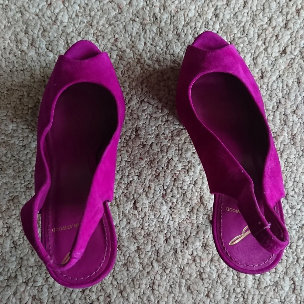 Brian Atwood brian atwood beatris